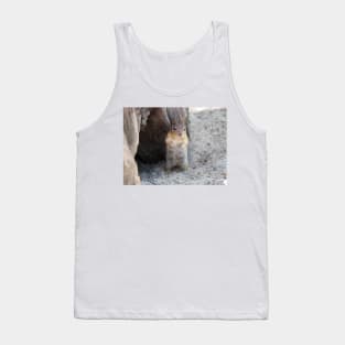 Golden-mantled ground squirrel Tank Top